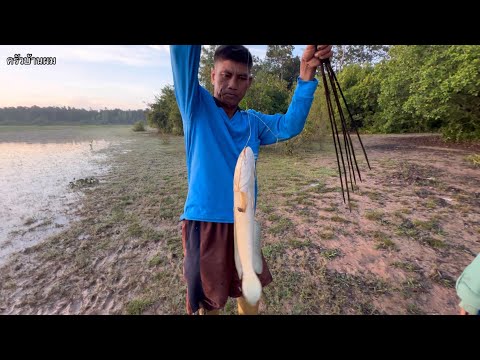 ปักเบ็ดปลาช่อนหมายเด็ด!!ลากคั