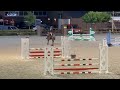 Show jumping horse 5j merrie