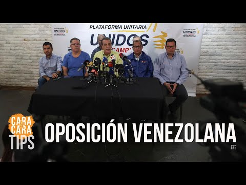 ¿La actual oposición venezolana tiene caudal de voto?