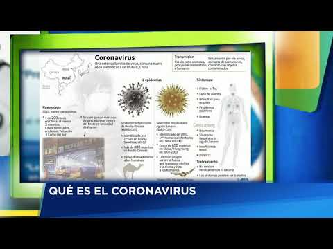 Coronavirus: La enfermedad que se extiende por Asia y el mundo