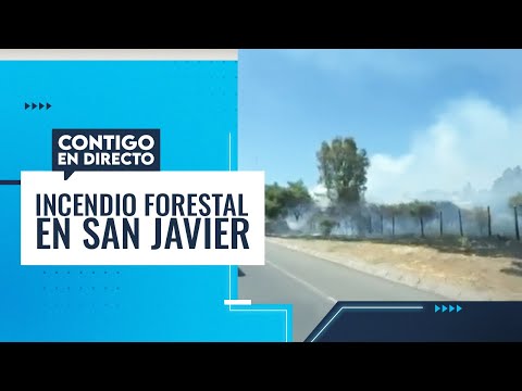¿DESCARGA ELÉCTRICA? Incendio forestal consumió hectáreas en San Javier - Contigo en Directo