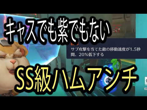 パーク一つでハムガチアンチに昇格したキャラ【レッキングボール】【オーバーウォッチ2】