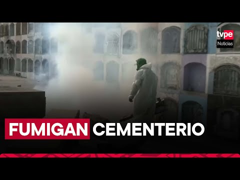 VMT: fumigan cementerio Nueva Esperanza por Semana Santa para evitar propagación del dengue