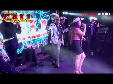 Viry Sandoval Concert Tickets - 2026 Tour Dates.