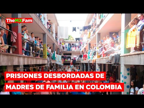 Jefas de Familia Abarrotan Cárceles en Colombia: El Otro Lado de la Guerra Antidrogas | TheMXFam
