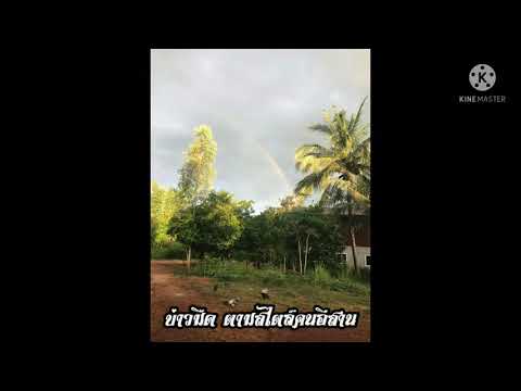ฟังดนตรีชมบรรยากาศเช้าๆชมสายรุ ฟังดนตรีชมบรรยากาศเช้าๆชมสายรุ