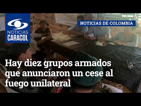 Hay diez grupos armados que anunciaron un cese al fuego unilateral, confirmó gobierno Petro