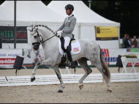 Trápalo de Indalo- Preliminar 6 años - Cpto. del Mundo de Caballos Jóvenes 2021 - Equipo PRE