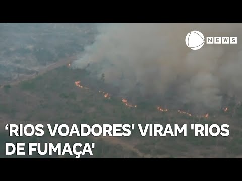 Queimadas transformam 'rios voadores' em 'rios de fumaça'