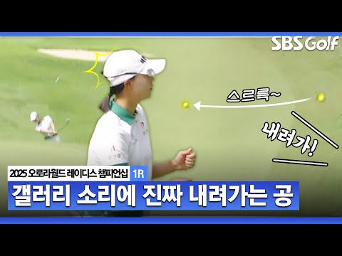 [2025 KLPGA] 내려가 내려가! 멈춰 멈춰 노보기, 버디만 4개 문정민(-4) 주요장면_오로라월드 1R