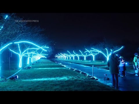 Spectacular festive light show twinkles at London's Kew Gardens