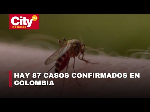 Autoridades de salud descartan presencia del virus oropouche en Bogotá | CityTv