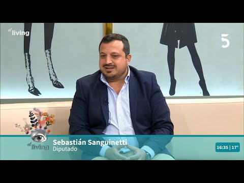 Dip S. Sanguinetti: Proyecto de ley embarazadas puedan asistir a controles | El Living | 14-04-2022