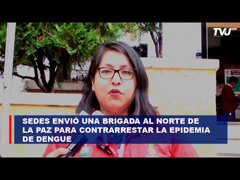 SEDES envió una brigada al norte de La Paz para contrarrestar la epidemia de dengue