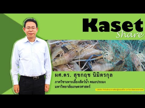 kasetshareเกษตรศาสตร์(ประมง