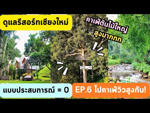 ดูแลรีสอร์ทที่เชียงใหม่แบบประส