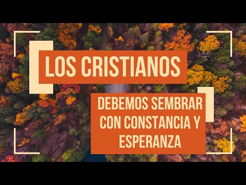 ? Los CRISTIANOS debemos SEMBRAR con CONSTANCIA y ESPERANZA | Reflexiónes Católicas