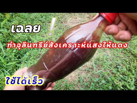 เฉลย❕วิธีทำจุลินทรีย์สังเคราะห