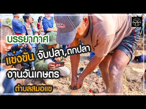 งานวันเกษตรตำบลสมอแข