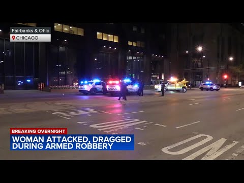 Woman, 66, dragged onto street as Chicago police investigate rash of armed robberies downtown