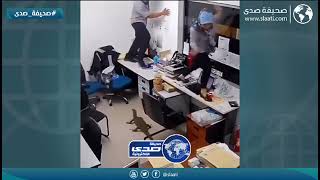 موظفة ضاعت علومها