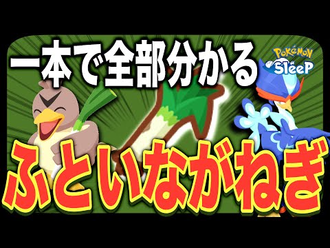 厳選の重要ポイントも分かる！5種のふといながねぎ最強ランキングを見ながら、ガッツリ解説・考察！【ポケモンスリープ】【Ver.2.9.0】