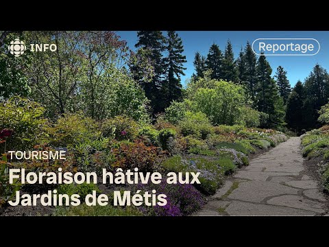 Début de saison fleuri pour les Jardins de Métis