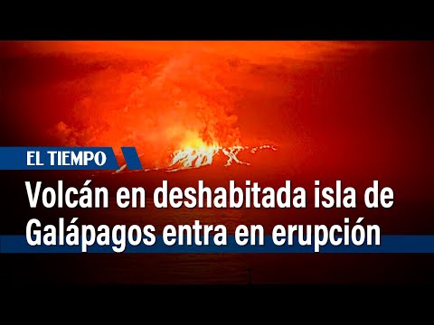 Volcán en deshabitada isla de Galápagos entra en erupción | El Tiempo