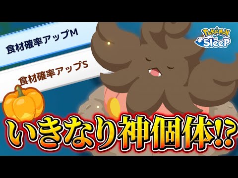 【ポケモンスリープ】バケッチャ、パンプジンがサプライズ実装！！！！そしていきなり神個体