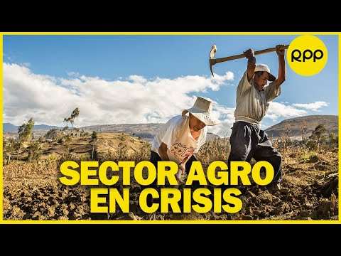 ¿Cuál debe ser el perfil del nuevo ministro de Agricultura del Perú?