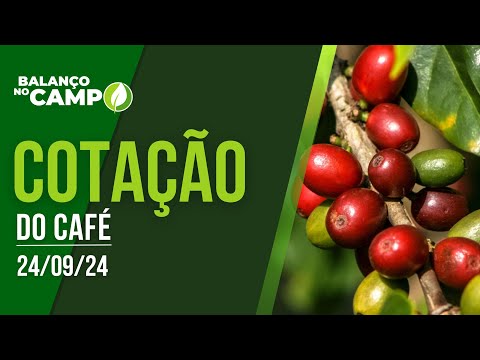 COTAÇÃO DO CAFÉ - 24/09/2024