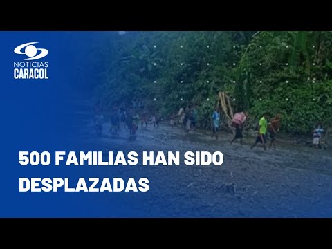 Hay niños abandonados en Alto Baudó, Chocó, por desplazamientos tras combates con Clan del Golfo