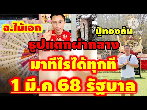 น้องปริ๊นซ์ story มาแล้วเลขธูปปู่ทองล้นมาทีไรได้ทุกที1มี.ค68รัฐบาลไทยอ.ไม้เอก