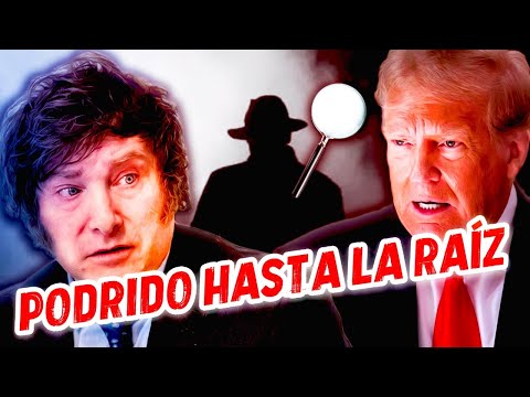 HABLA EX ASESOR de TRUMP y MILEI  A JAVIER LO BANCA EL CRIMEN ORGANIZADO y TRUMP LO DESPRECIA