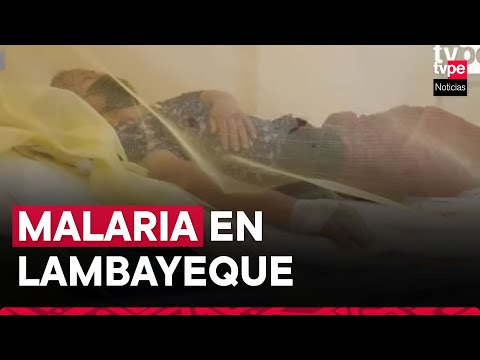 Lambayeque: confirman primer caso de malaria luego de 8 años