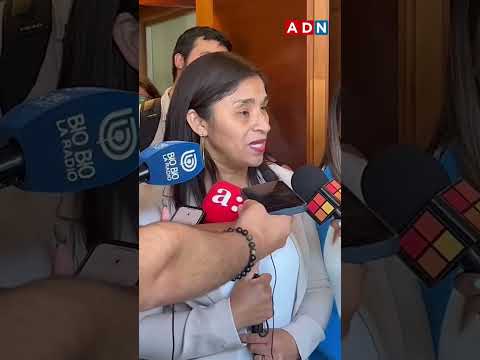 Senadora Fabiola Campillai se refiere a las disculpas de María Luisa Cordero respecto a sus dichos