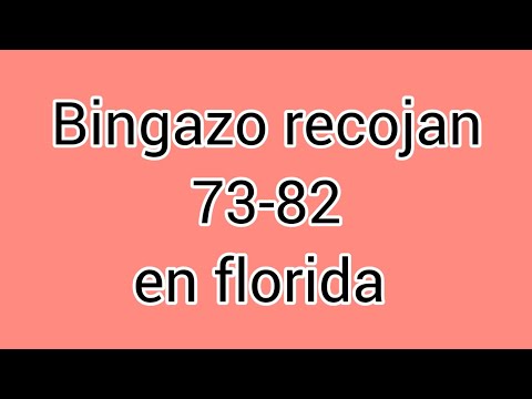 bingazo recojan palé florida 73-82