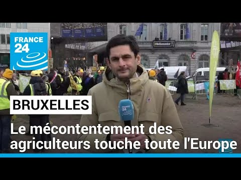 Bruxelles : les agriculteurs protestent contre la politique européenne • FRANCE 24