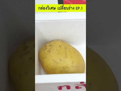 กล่องวิเศษเปลี่ยนร่างEP.1ตอน