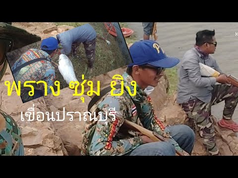 พราง ซุ่ม ยิง พรางซุ่มยิงปลาธรรมชาติEp106ปลากรายเขื่อน