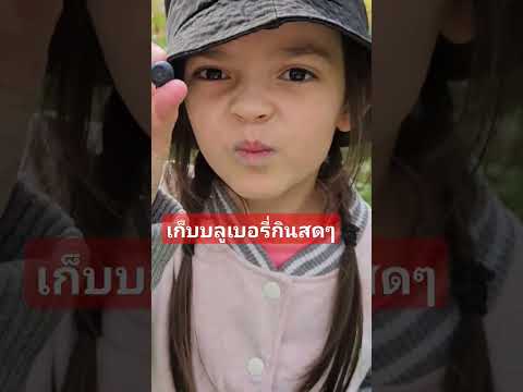 ลูกครึ่งคนไทยในต่างแดนthaila