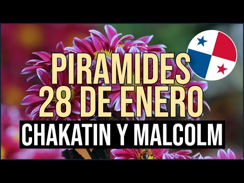 Pirámide Lotería de Panamá Domingo 28 de Enero 2024  - Pirámide de Chakatin y Malcolm Ramos