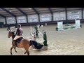 Show jumping horse Zeer aansprekende ruin