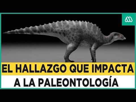 Este es es el nuevo dinosaurio descubierto en la Patagonia Chilena