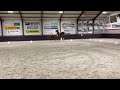 Dressuurpaard Fantastische fokmerrie uit top stam