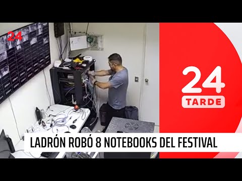 Osado ladrón robó 8 notebooks del Festival de Viña