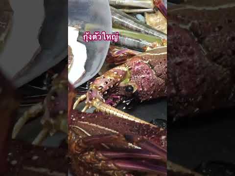 อาหารไทยง่ายๆกุ้งมังกรตัวใหญ