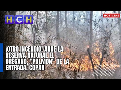 ¡Otro incendio! Arde la reserva natural El Orégano, pulmón de La Entrada, Copán