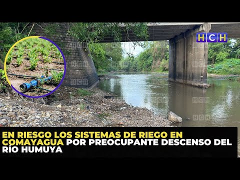 En riesgo los sistemas de riego en Comayagua por preocupante descenso del río Humuya