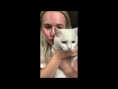 Spank Hair Concert Tickets - 2026 Tour Dates.